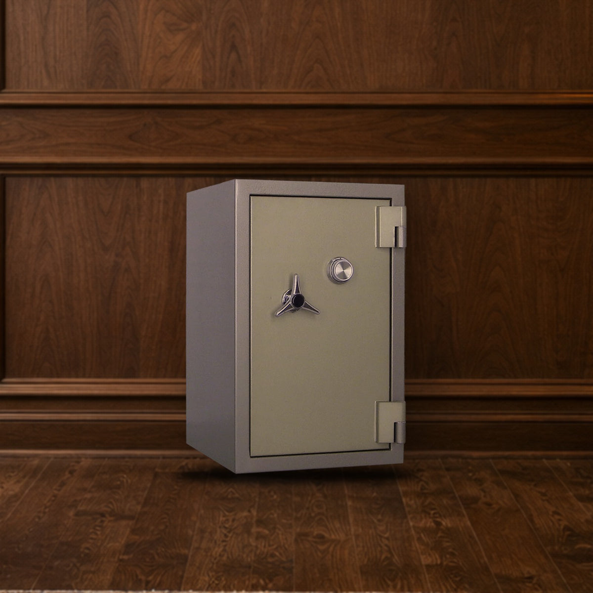 Steelwater BFB-845 safe in a home office